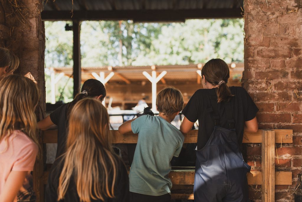 Klassenfahrten auf den Schulbauernhof