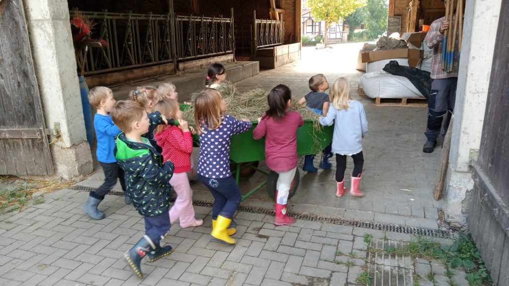 Ausflüge, Tagesveranstaltungen