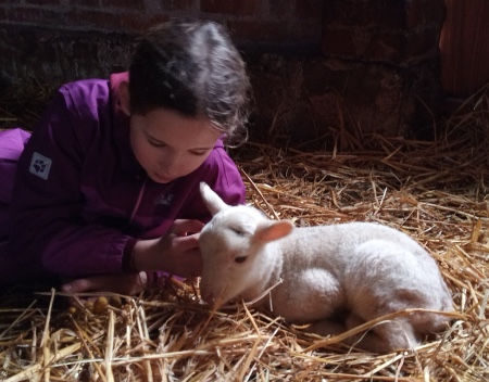 Tiergestützte Aktivität, Inklusive Erlebnisse